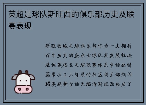 英超足球队斯旺西的俱乐部历史及联赛表现